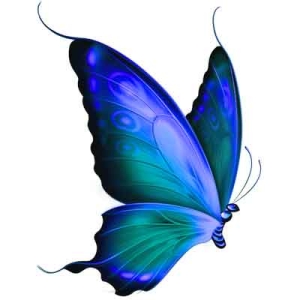 grief as a butterfly