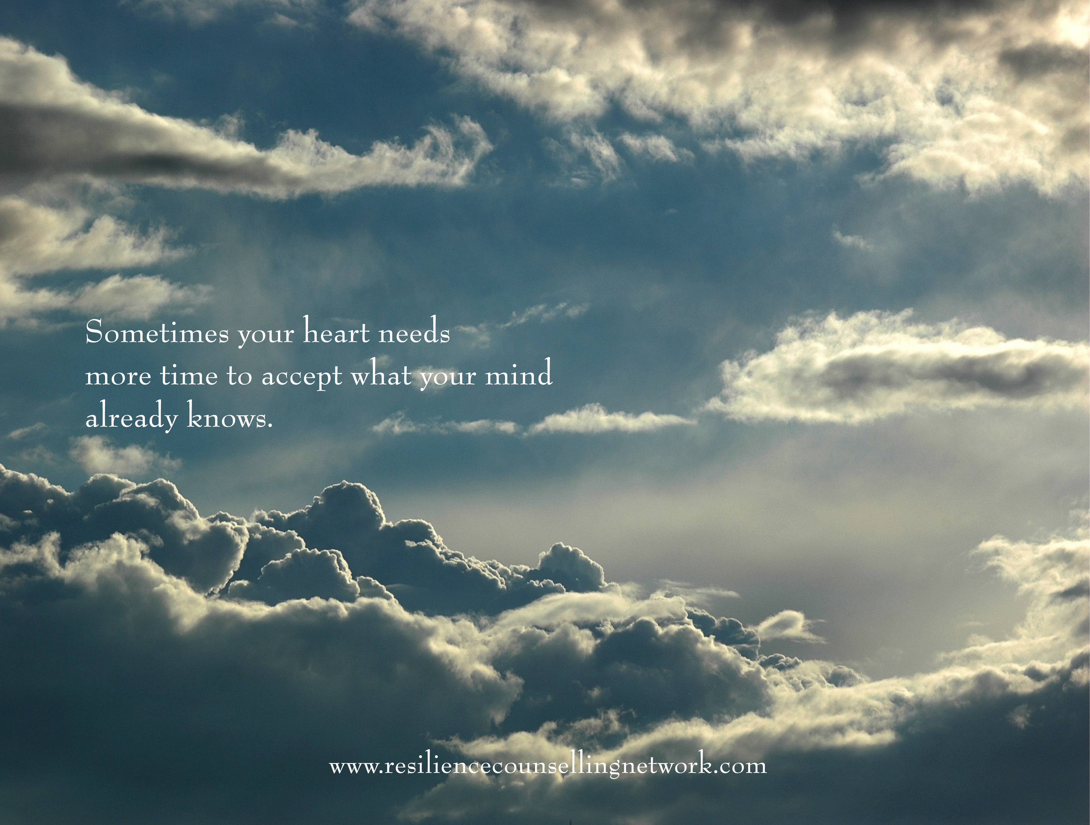 Sometimes your heart needs…