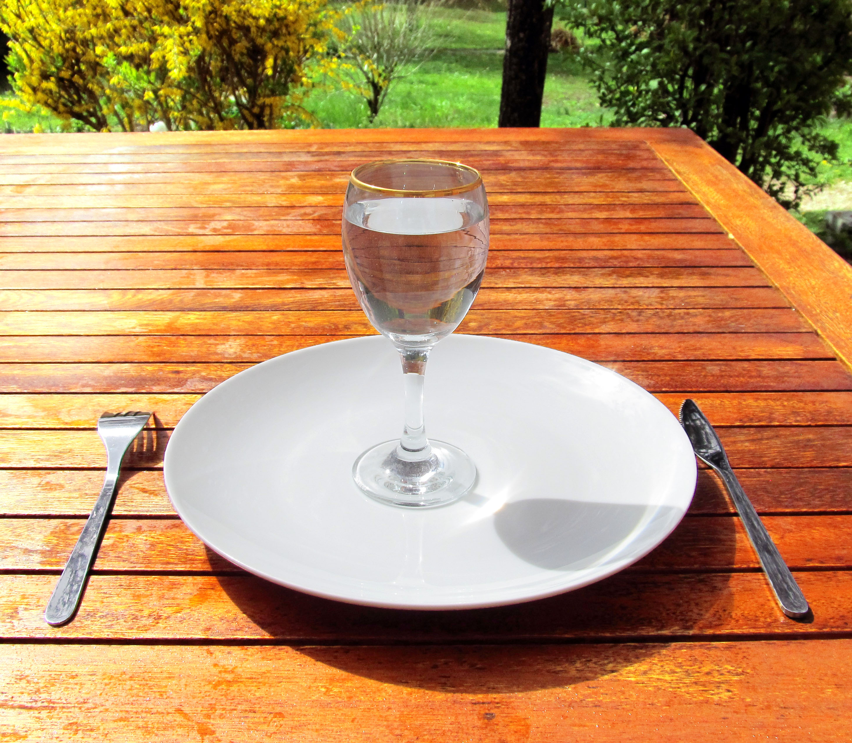 Anorexia Nervosa – A Fatal Eating Disorder