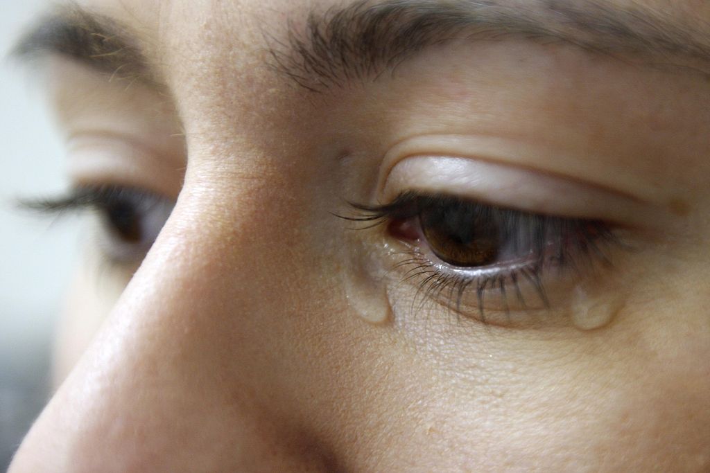 The Cycle of Abuse in Domestic Violence – how it can affect your mental health